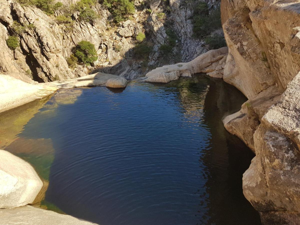 Villa Dettori San Teodoro  Εξωτερικό φωτογραφία
