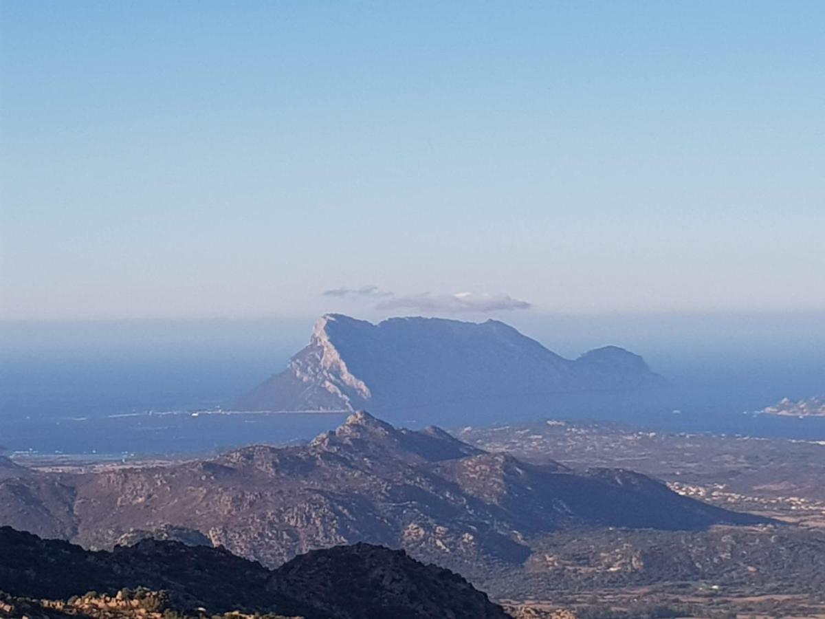 Villa Dettori San Teodoro  Εξωτερικό φωτογραφία