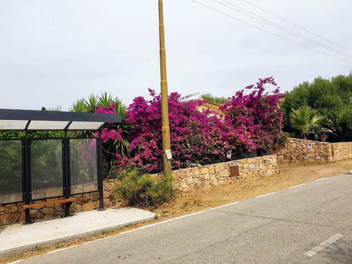 Villa Dettori San Teodoro  Εξωτερικό φωτογραφία